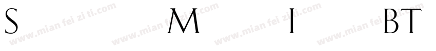 Schneidler Medium Italic BT字体转换